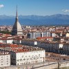 Benvenuti nel sito di FNA e CONFAPPI TORINO